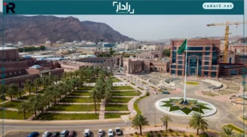 جامعة طيبة تطلق مسابقة “الأطروحة في 3 دقائق” لتعزيز مهارات طلاب الدراسات العليا بالسعودية